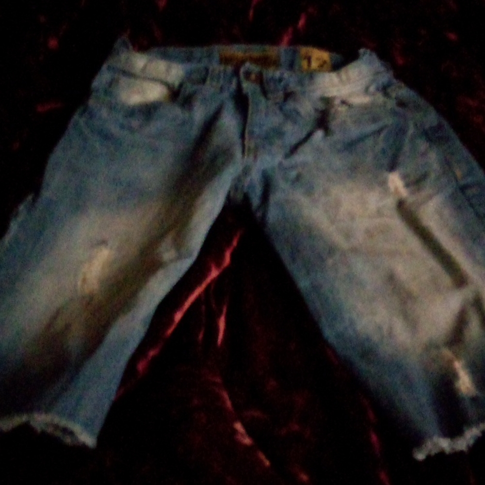 Evolution short